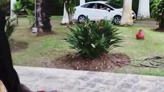 Big-Breasted Friends Fuck the Gardener