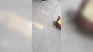 Chibola perseguida por Perfecta Ricura: El amor de mi vida