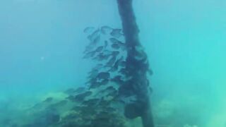 Sun-Kissed Cougar Sea Sex in Zanzibar