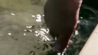 Lisa Ann and Jordi El inside Lisa's Pool Boy Vibrator