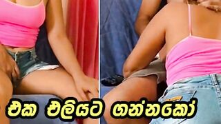 Sri Lankan schoolgirl milks with thick orbs - sensational Sinhala sex!