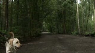 Bijou And Tommy Pistol At A Wild European Dogging Spot