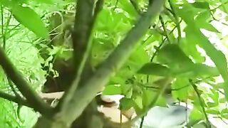 Wild Hooker Deepthroats Cock in the Woods During Hardcore Outdoor Sex