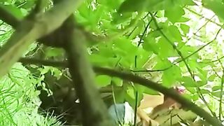 Wild Hooker Deepthroats Cock in the Woods During Hardcore Outdoor Sex