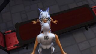 Adult Ashoka Tano SFM Compilation
