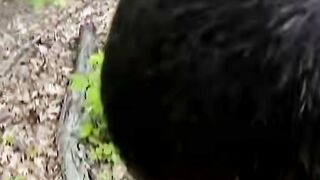 Black Thug Sucks Cock Outdoors in Woods Public Amateur Blowjob