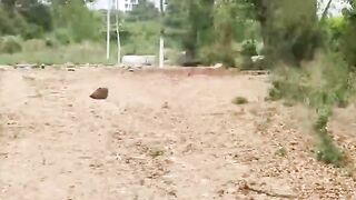 Verified Amateur Latina Big Ass Gets Hard POV Sex on Motorcycle