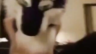 Emo Twink Bareback Cream Pie Adventure
