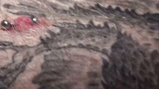 Ginger Daddy Bear Rob Montana Licks Hairy Belly and Sniffs Pits for Big Dick Cumshot