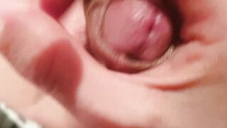 Cuckold Husband Denied