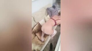 milf Fickt Ihren Schwager Und Isst Viel SPERMA