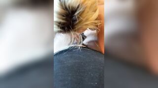 GIVING MY BF a VOLUPTUOUS ORAL SEX
