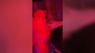 Highanhorny Fun