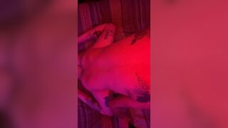 Highanhorny Fun